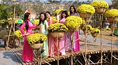 Flower festival to add colour to Tet 