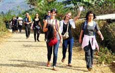 Lao Cai attracts over 632,000 tourists in six months 