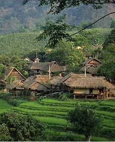 Festival promises ethnic delight 