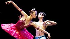 Europe meets Vietnam in contemporary dance 