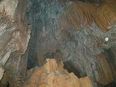 A new beautiful cave found in Na Hang primeval forest 