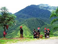 Mong peopleâ€™s panpipes go to festival 