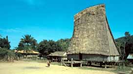 Central and Central Highland provinces promote tourism 