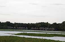 Primitive beauty in Tra Loc Lagoon