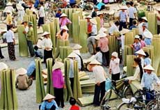 Cong Thanh Mat-making Village