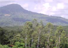 Binh Phuoc: Tourism development associated with environmental protection 