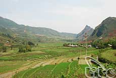 Admiring autumn in Mu Cang Chai in the air