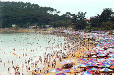 Maritime festival to be held in Hai Phong
