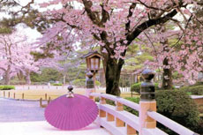 A glimpse of Japan in Hanoi