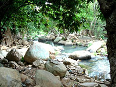 Lo O Streamâ€™s fairytale scenery in Chua Mountain