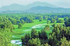 U Minh Ha forest reopened to public
