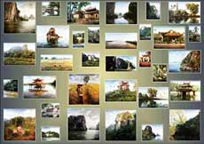 33 paintings of Vietnam by Polish artist to be displayed 