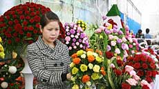 Intâ€™l bonsai and flower festival opens in Da Lat 