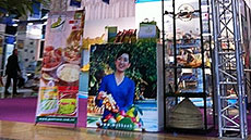 Vietnam attends trade fair in France 