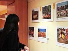 Exhibition on VNâ€™s festivals opens in France 