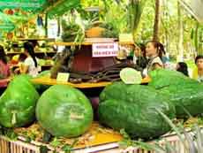 Annual fruit festival juices up HCM City 