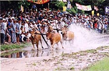 Les Khmers d'An Giang célèbrent la fête de Dolta