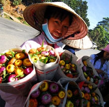 Exposition de fleurs séchées à Da Lat