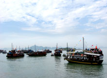 Les sportifs invités à voter pour la baie de Ha Long 