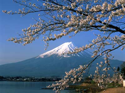 Les circuits touristiques au Japon refleurissent 