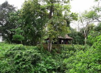 Quang Nam promeut le tourisme sur le site de Nuoc Oa 