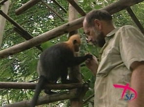 Début du Festival du Film documentaire Europe-Vietnam le 8 juin