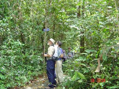 La Réserve naturelle de Binh Châu - Phuoc Buu