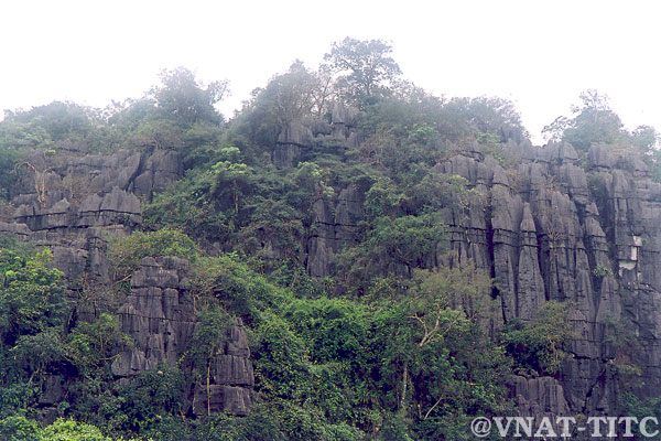 Grottes, forêts et dunes sous le soleil de Quang Binh 