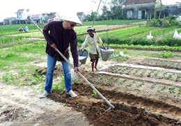 Voyage d’études des tours opérateurs internationaux dans la province de Quang Nam