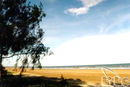 Trà Cô, la plage la plus septentrionale du pays