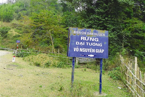 La forêt du général Vo Nguyên Giap