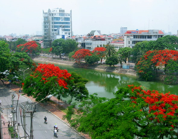 Haiphong, la ville des flamboyants rouges
