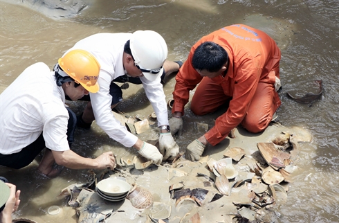 Découverte d'une épave à Quang Ngai