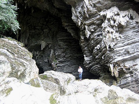 À la découverte des grottes de la forêt de Minh Hoa