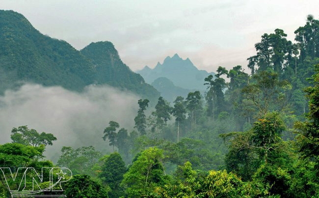 Le Parc national de Xuân Son