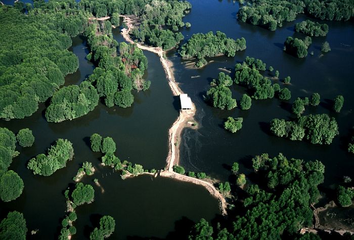 La Réserve naturelle de Binh Châu - Phuoc Buu