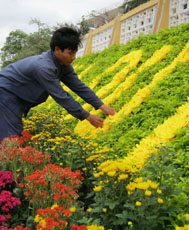 Sẵn sàng cho Đại lễ