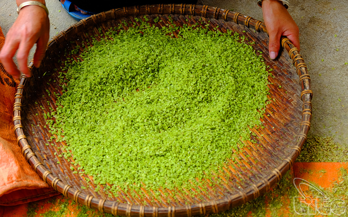Tu Le com is one of famous specialties in Mu Cang Chai
