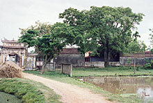 Fête de la pagode de Dau (ou pagode Vua)